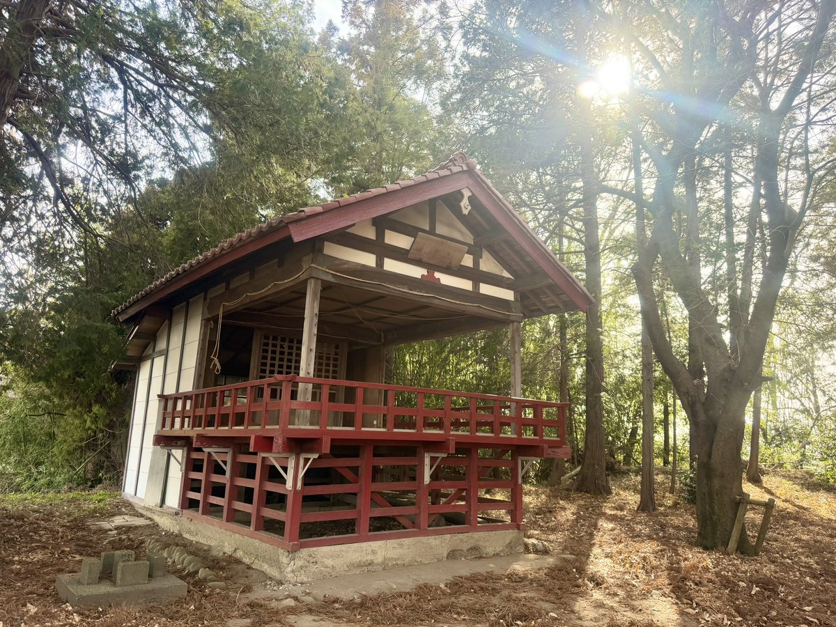 *⋆⸜ Mayu⸝⋆* tweet media