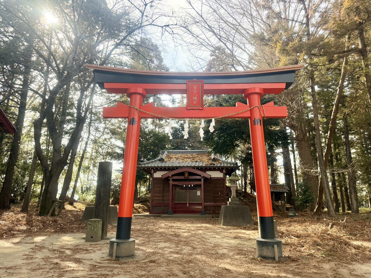 *⋆⸜ Mayu⸝⋆* tweet media