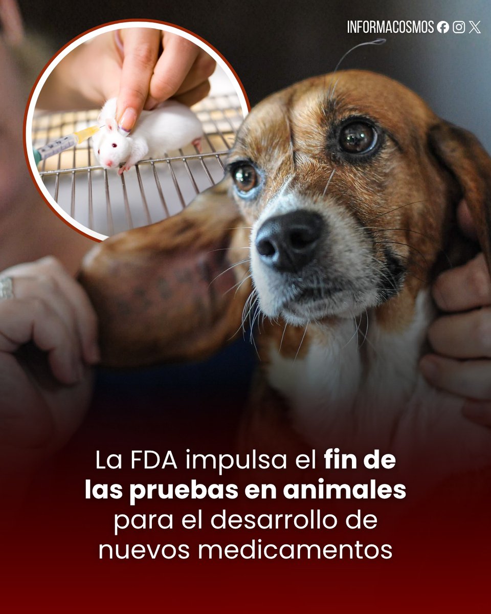 Informa Cosmos tweet media