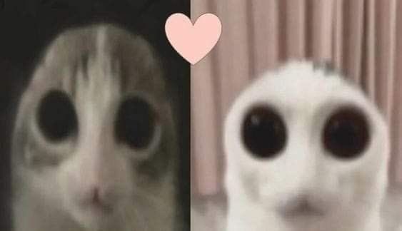 ⋆˚࿔ Reni! 𝜗𝜚˚⋆ tweet media