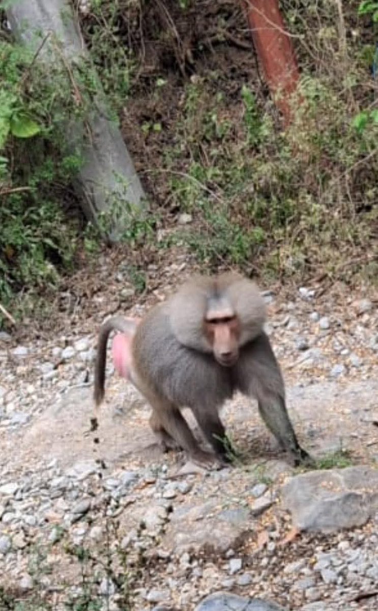 @QuePasaEnNL ®️ tweet media