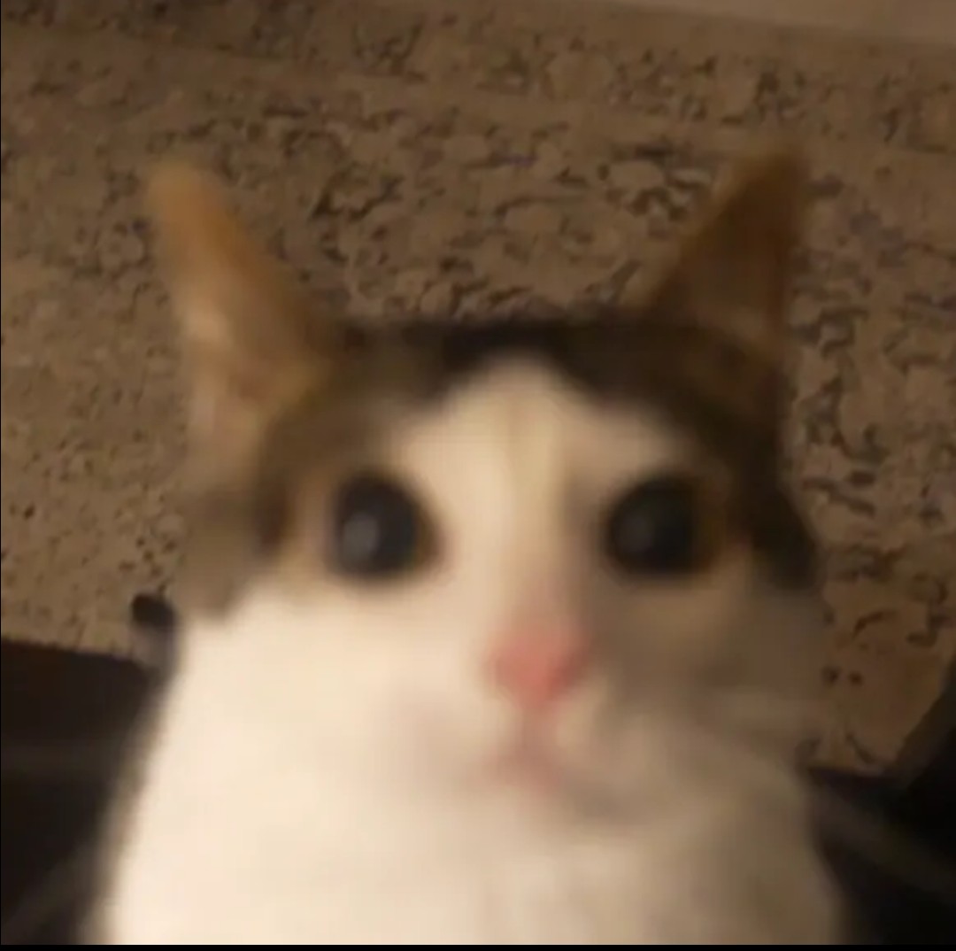 Tr0llvin tweet media