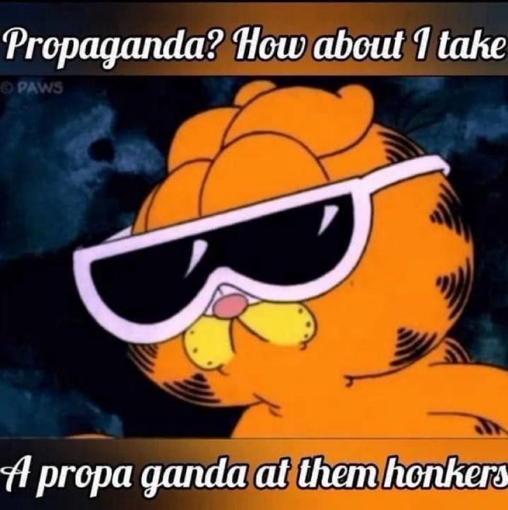 SerfingHoganØ tweet media