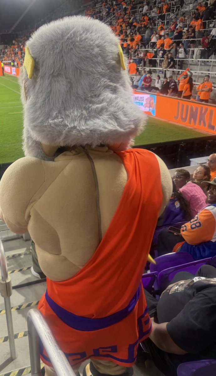 UFL T1SDALE tweet media