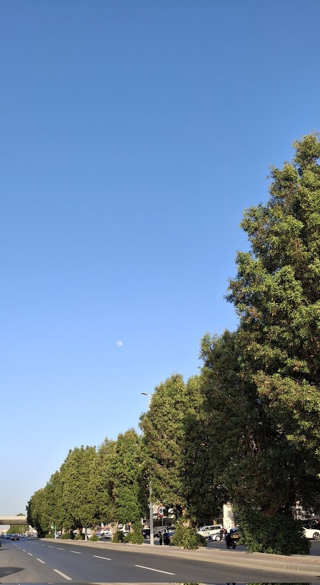 م.محمد tweet media