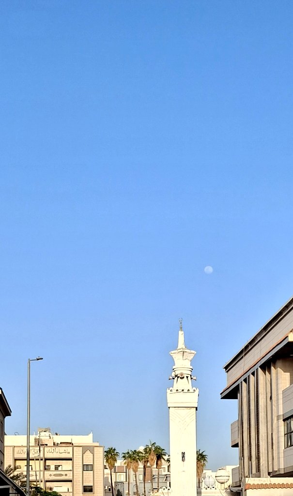 م.محمد tweet media