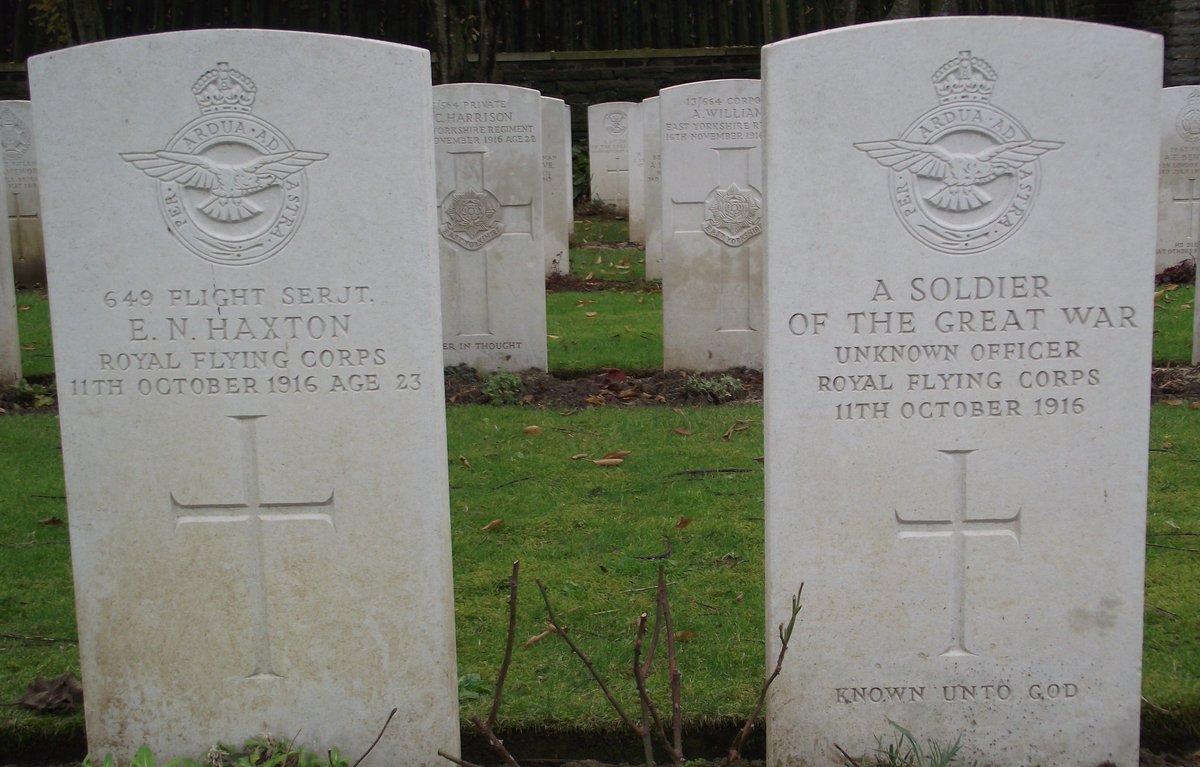 Tom Tulloch-Marshall tweet media