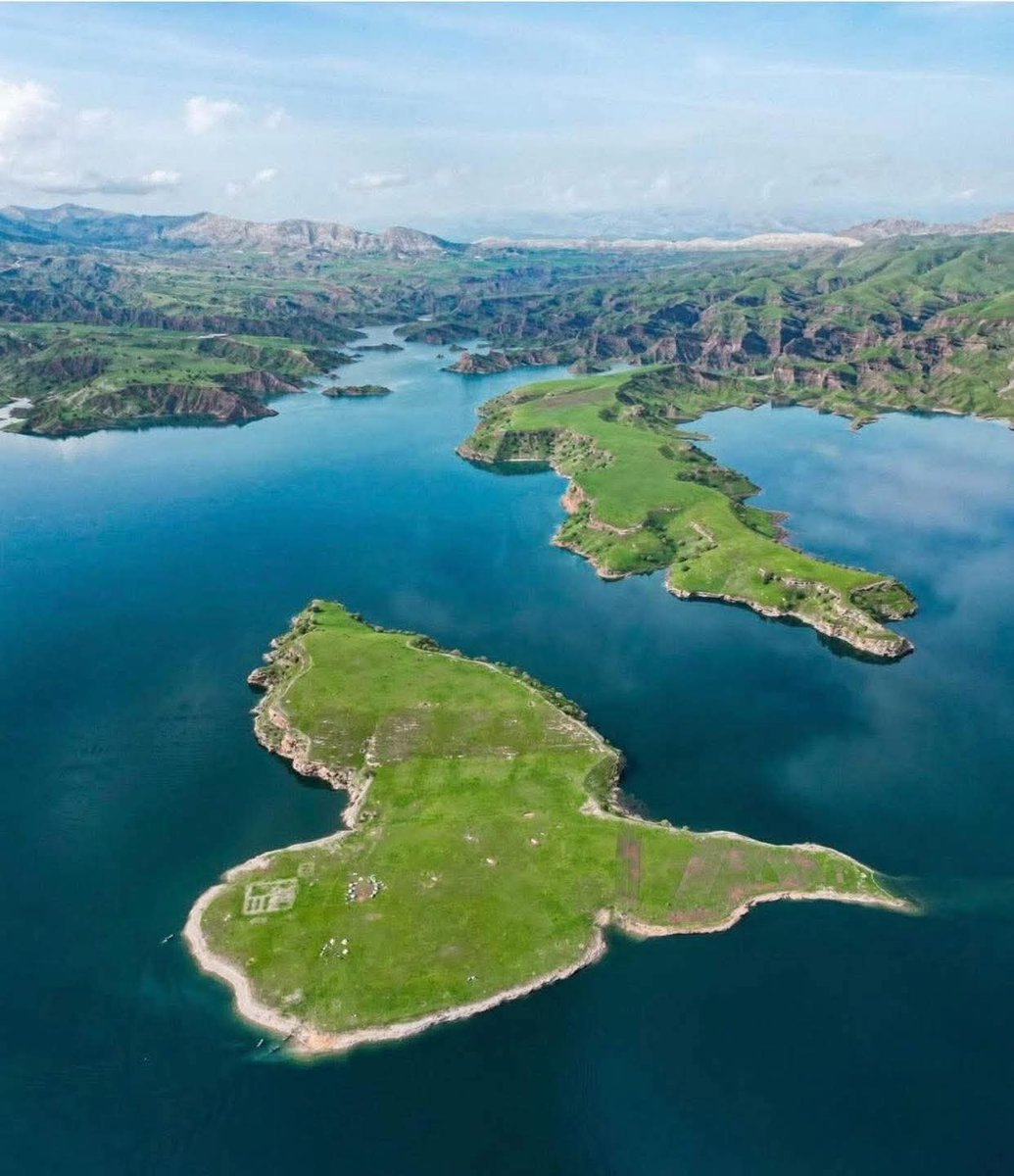 Peter Germanos 𐤐𐤕𐤓𐤗 tweet media