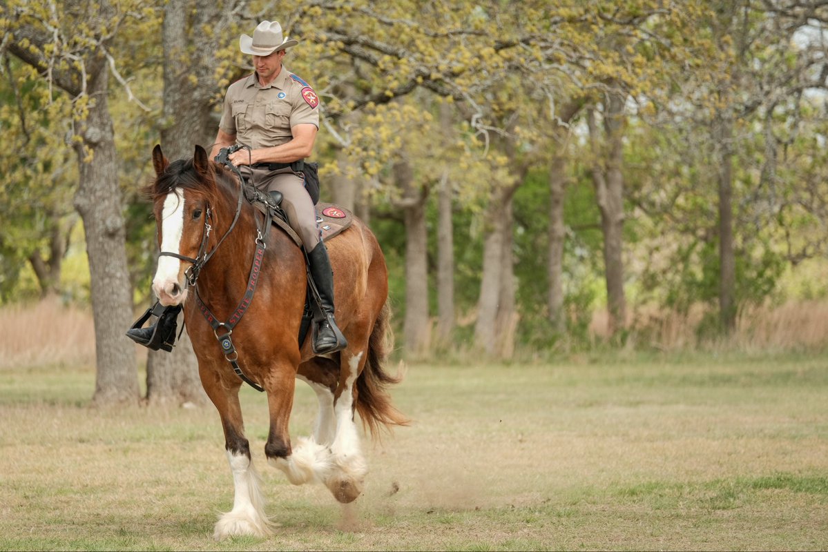 Texas DPS tweet media