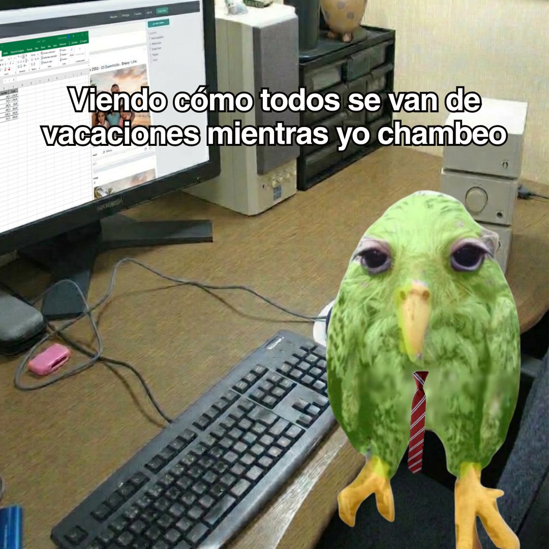 Duolingo Español tweet media