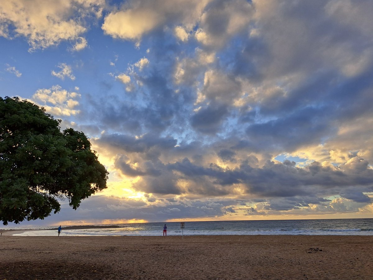 30 days until Hawaii 🌺🏝️🐬