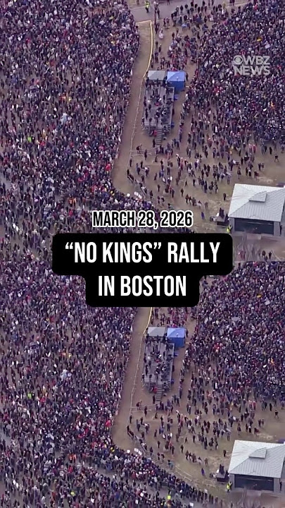 Mark McDonald tweet media