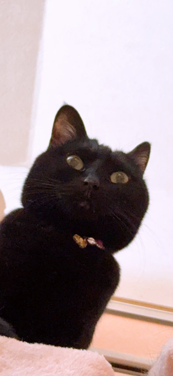 たけちゃん tweet media