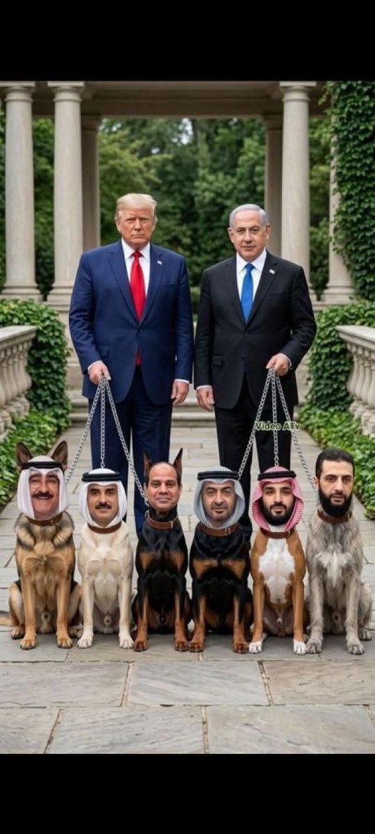 Truth_teller 🇷🇺 tweet media