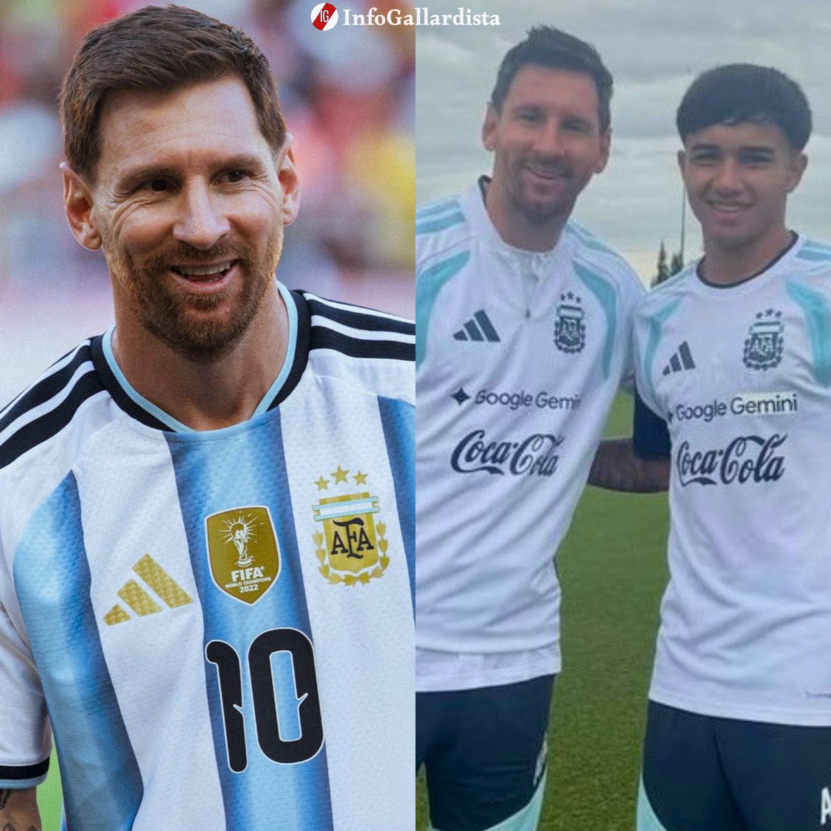 Info Gallardista tweet media