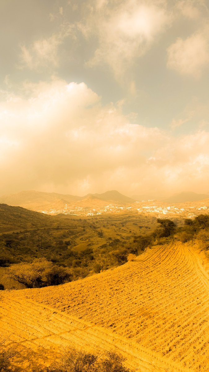 عبدالله آل موسى tweet media