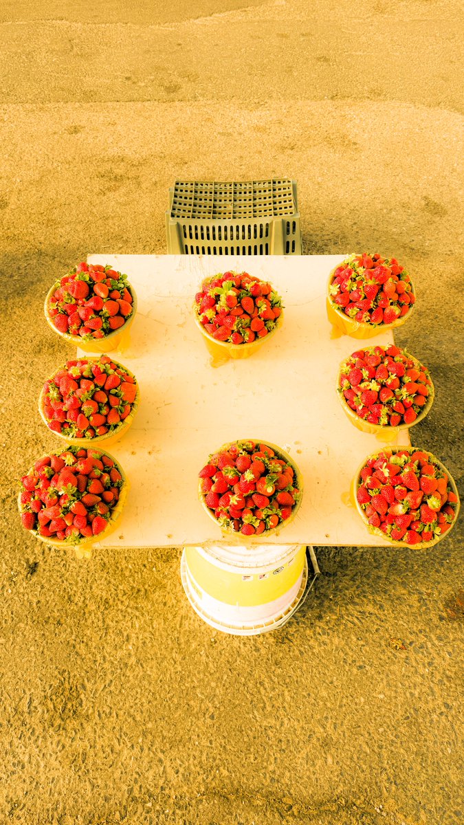 عبدالله آل موسى tweet media