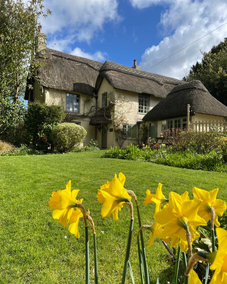 Short Stay Homes tweet media