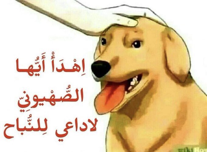 IraqiAlasadi tweet media