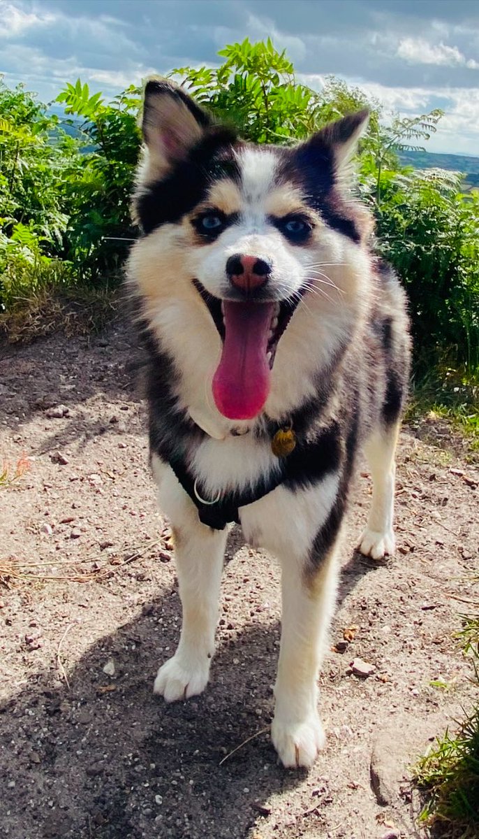 Jono Ashton tweet media