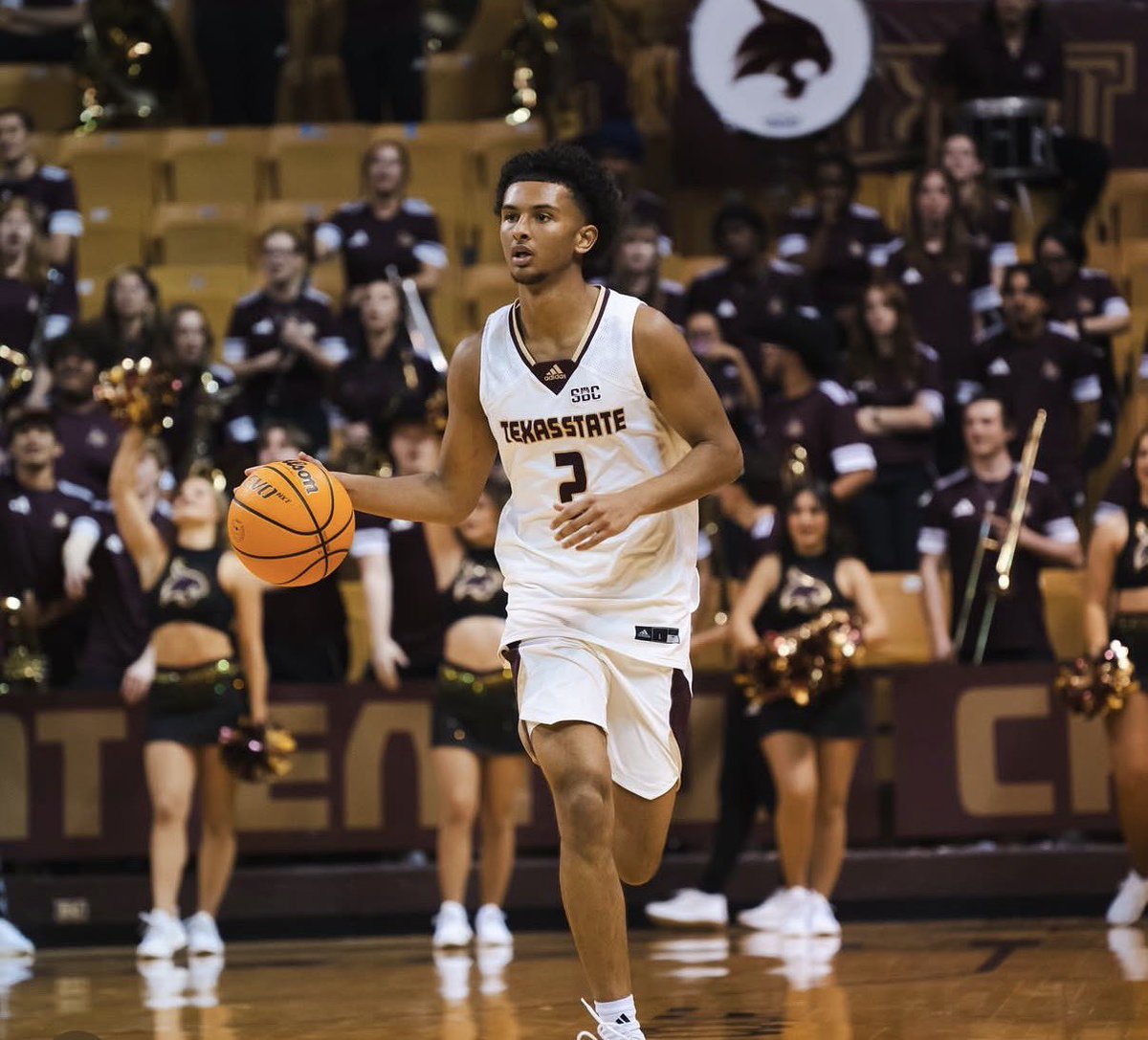 Tobias Bass tweet media