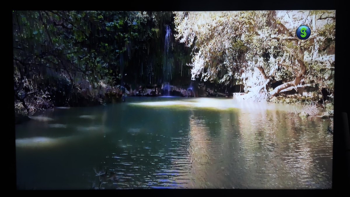 Dr.STAN_KRUGER 🇮🇹 tweet media