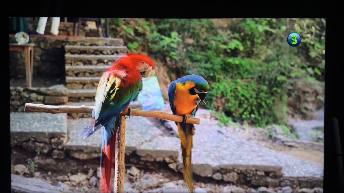 Dr.STAN_KRUGER 🇮🇹 tweet media