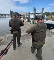 New Hanover Sheriff tweet media