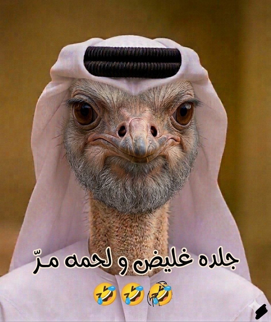 ابو محمد tweet media