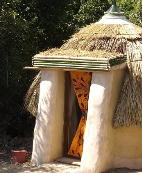 ChiefHerbalist tweet media