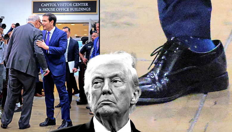 Janet Kemp tweet media