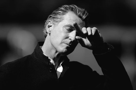 The Conservative Alternative tweet media