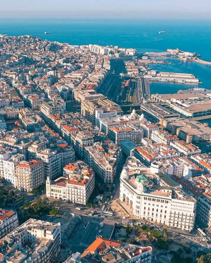 Zoom Afrika tweet media