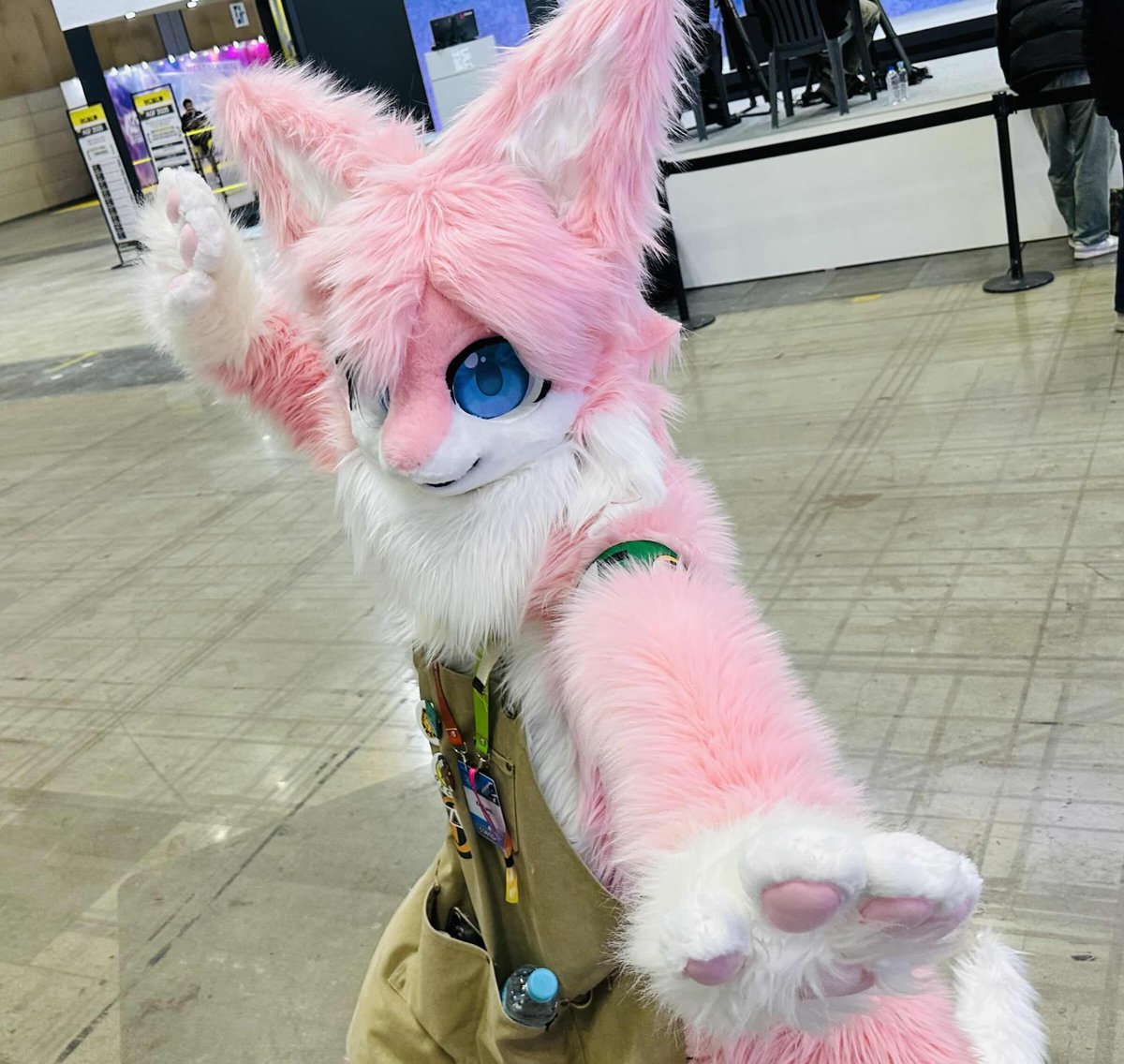 Mofuatelier6526's tweet photo. #fursuit_commision
#fursuit_maker
#fursuit
모후 카페에서 커미션을 모집중입니다
현재 남은 슬롯 : 2개
메뉴와 포트폴리오는 밑의 사진을 참고 바랍니다.
관심 있으신 분들은 답글 또는 DM 보내주세요
We have a mofu Cafe 2 slot of fursuit commision!
Please check menu and pic!! https://t.co/NM4TO7LnaO