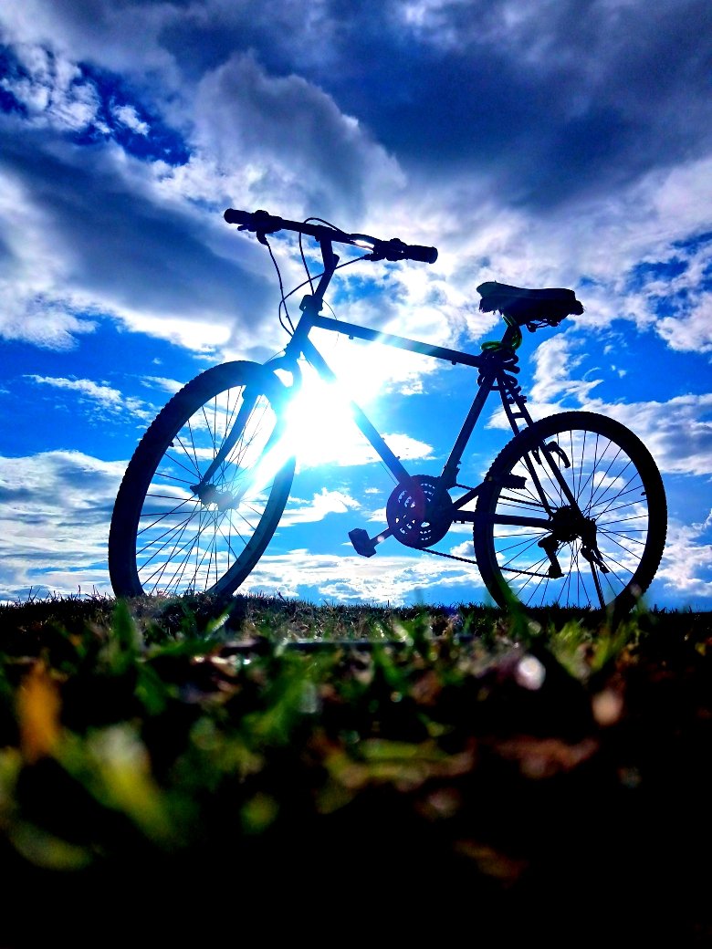 House Of Ethel tweet media