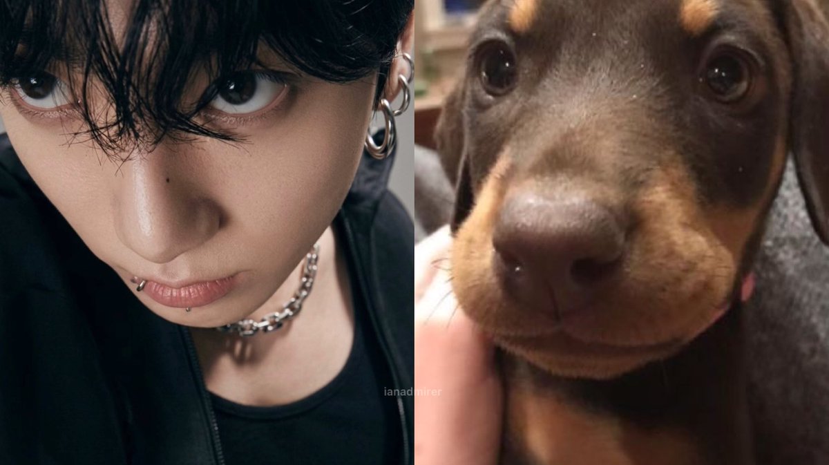 jungkook ♥︎ tweet media