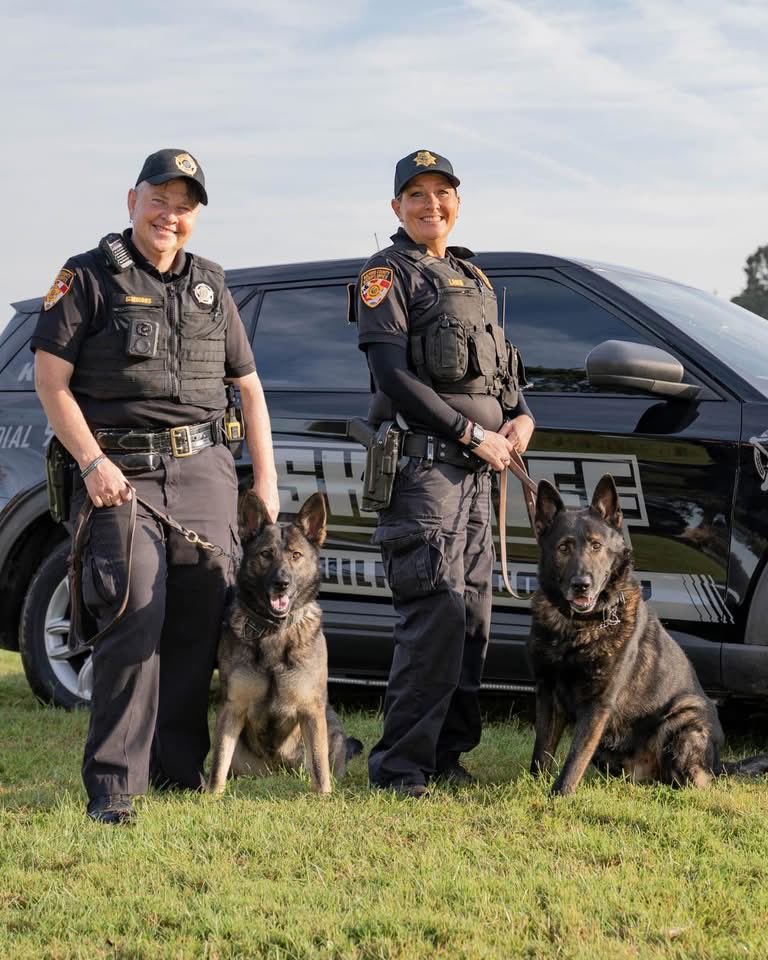 Guilford County Sheriff's Office tweet media