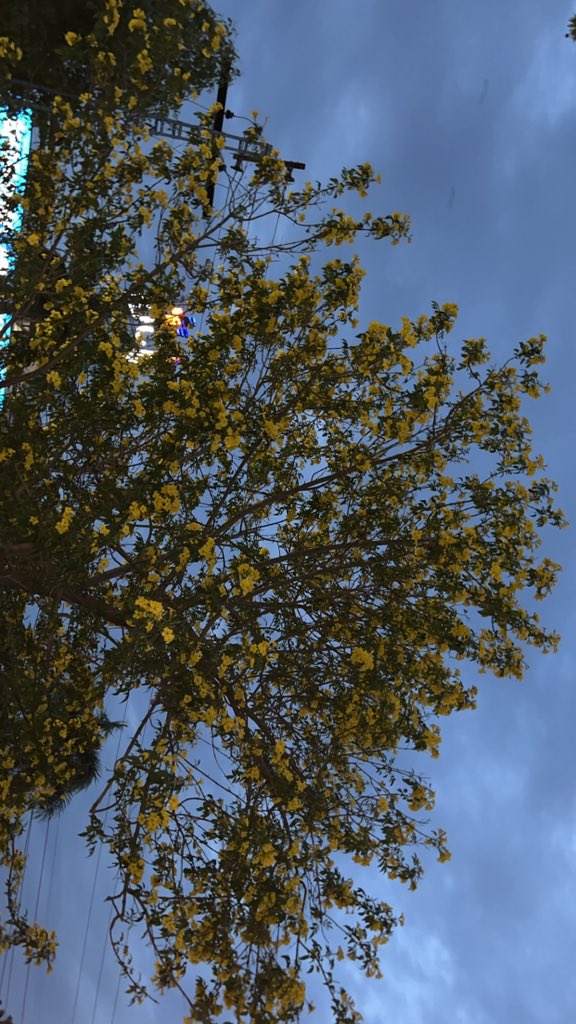 𝓱🍪 tweet media