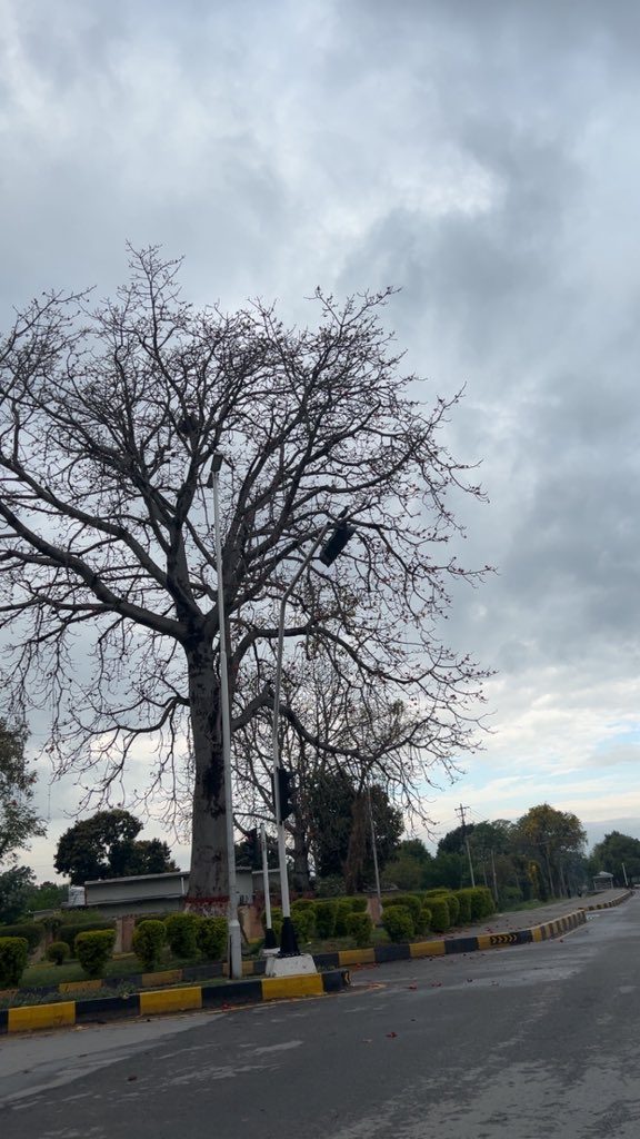 𝓱🍪 tweet media