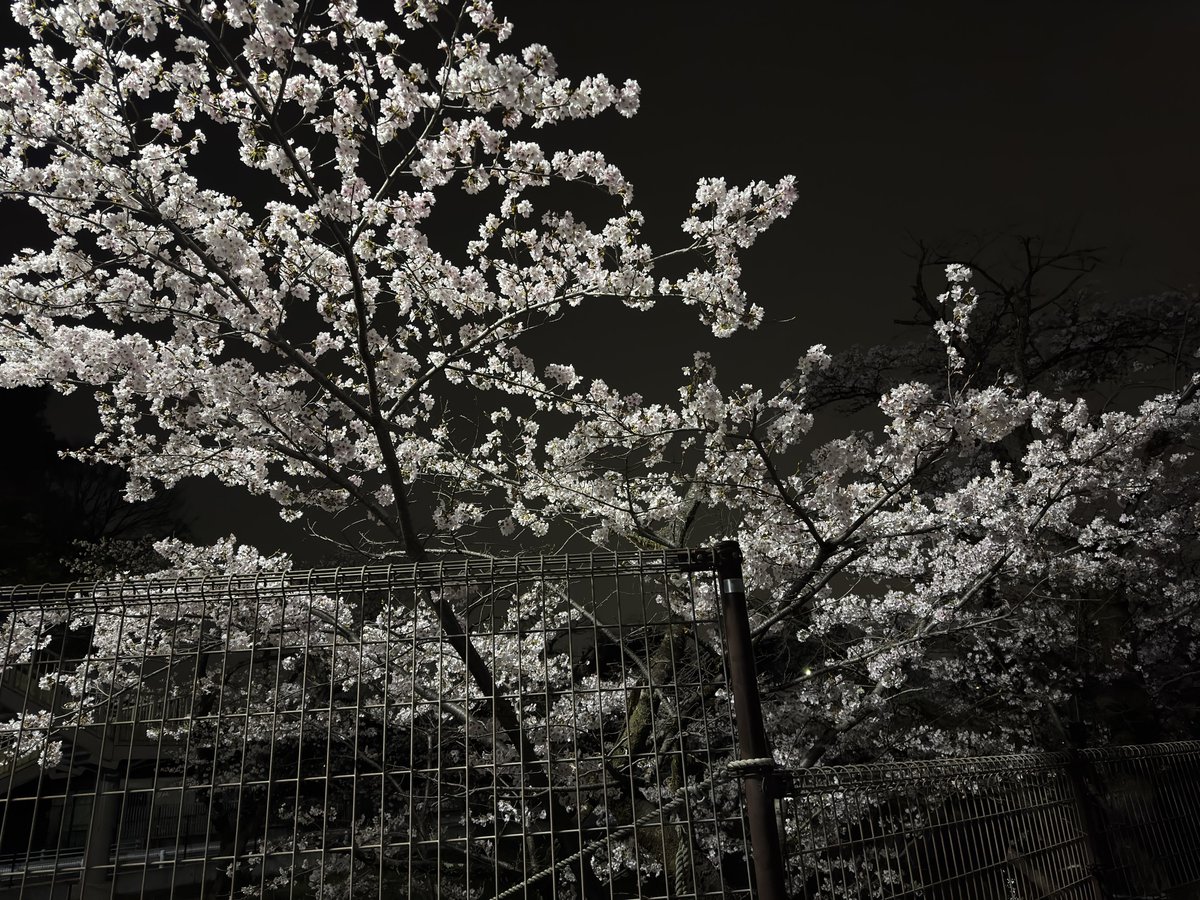 外道衆 tweet media