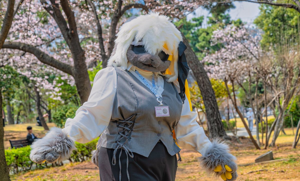 셀리니 🔜 3부코, 퍼클 tweet media