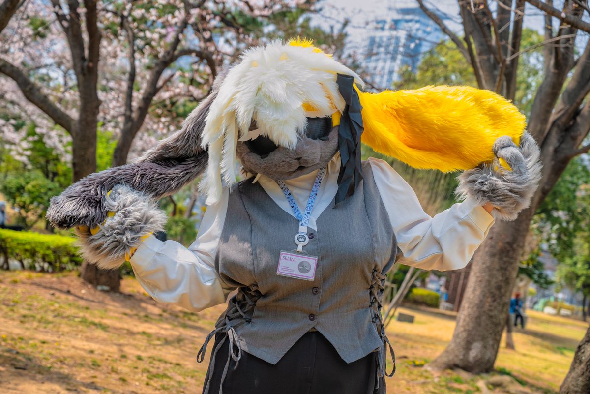 셀리니 🔜 3부코, 퍼클 tweet media