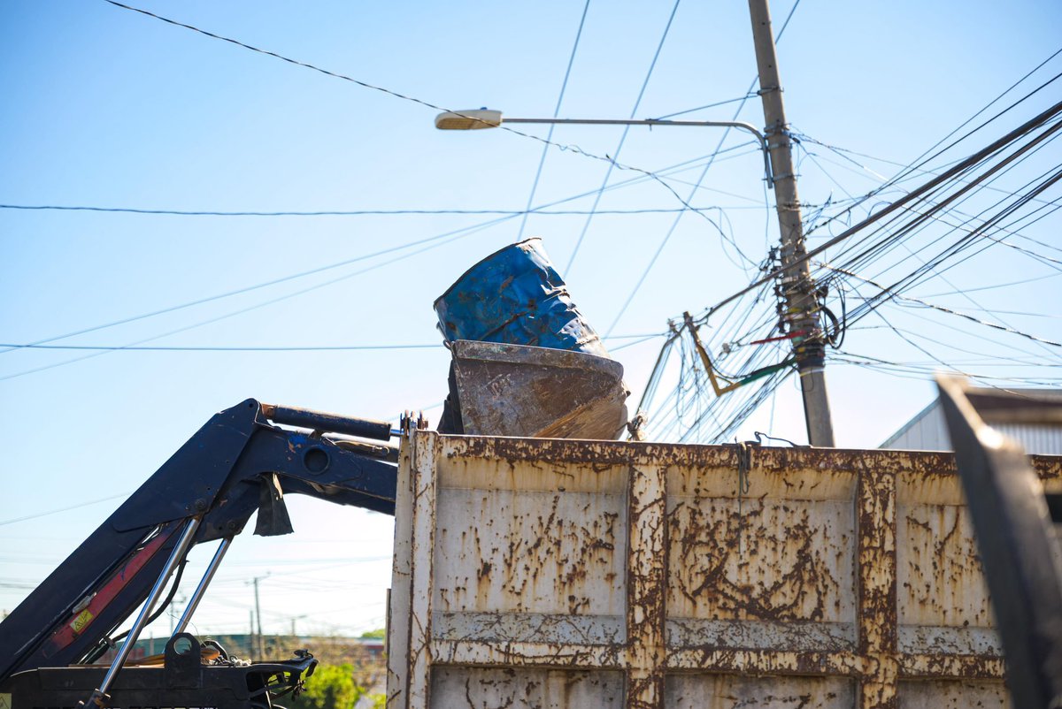 Alerta Noticias tweet media