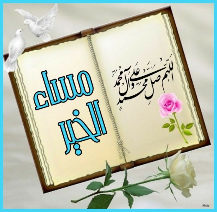 ⚘✿ زهرة التوليب ✿⚘ tweet media