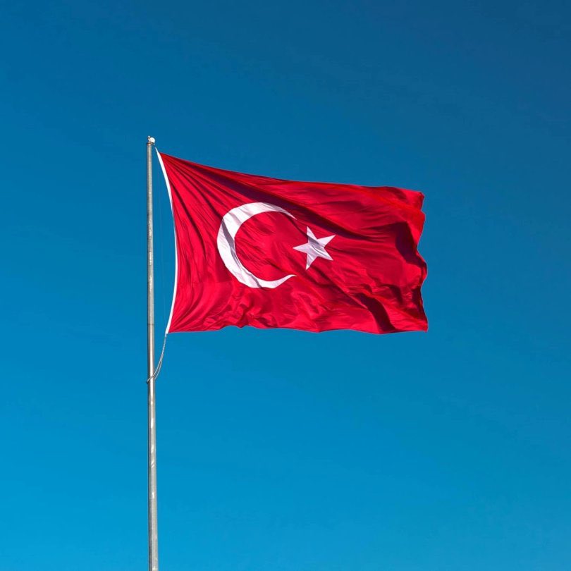 Pusholder tweet media