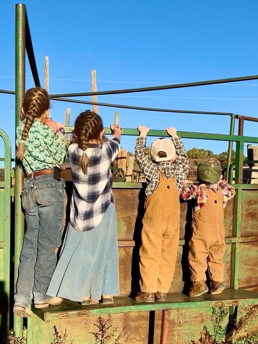 The Bull Moose Project tweet media