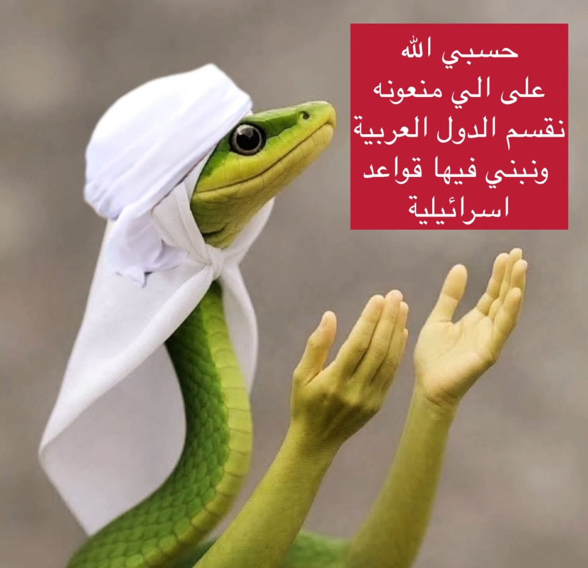 ابو محمد tweet media