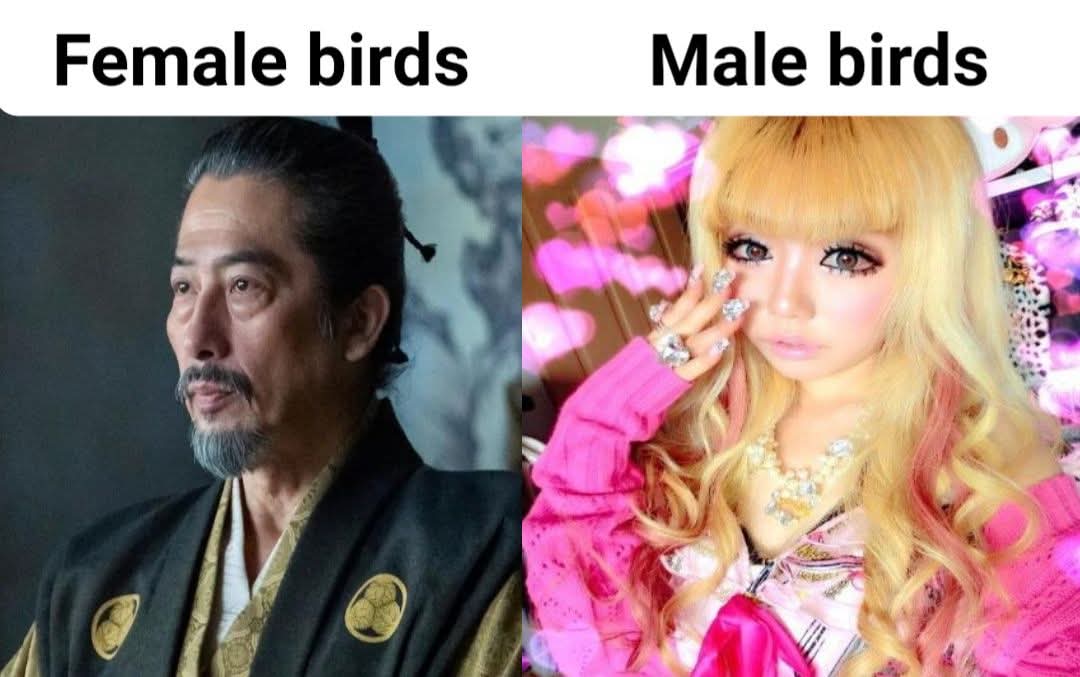 Maririn~ tweet media