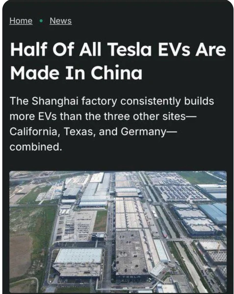 ✦✦✦ 𝙿𝚊𝚖𝚙𝚑𝚕𝚎𝚝𝚜 ✦✦✦ tweet media