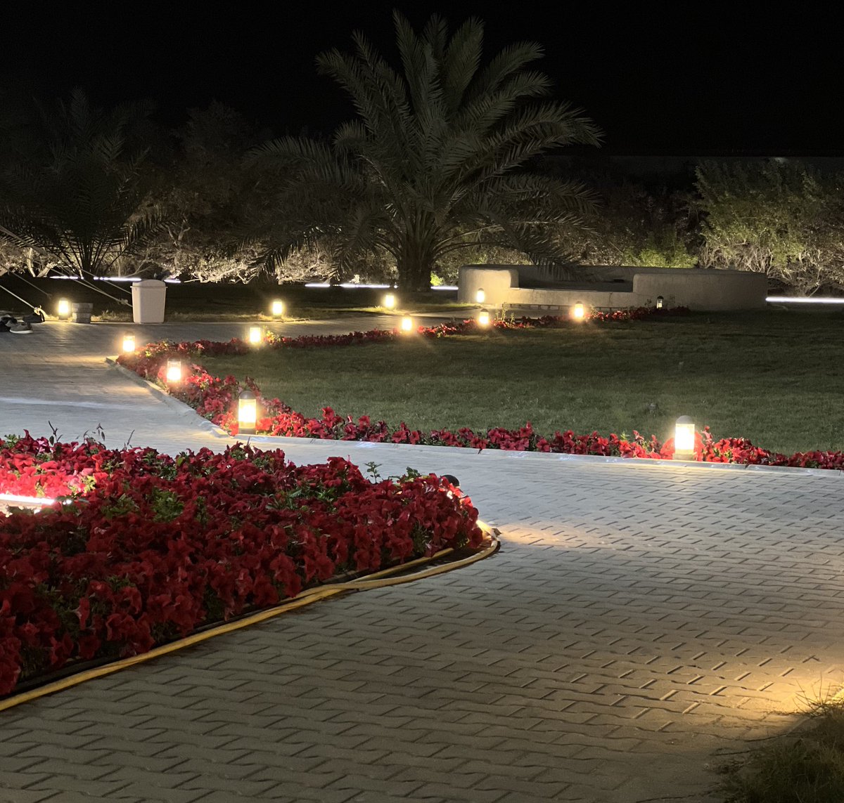 ‏‏﮼ضاااري ✨ tweet media